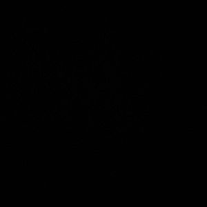 Meet your Posher, Lakayla